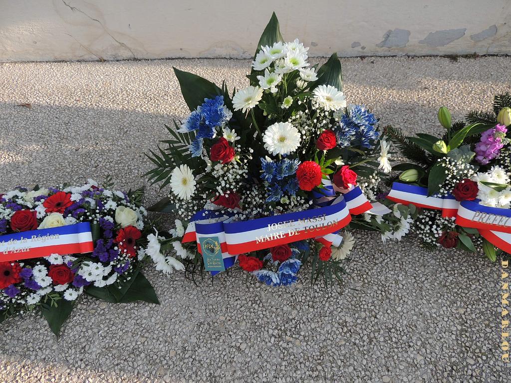 2024 12 05 TOULON HOMMAGE AUX MORTS POUR LA FRANCE EN AFN  (9).jpg